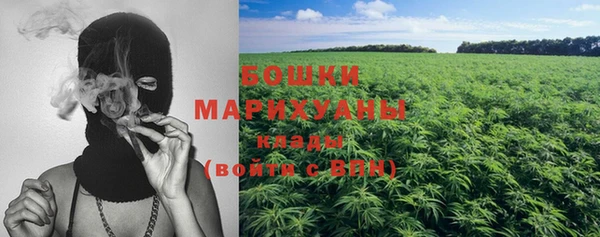 ГАЛЛЮЦИНОГЕННЫЕ ГРИБЫ Балахна